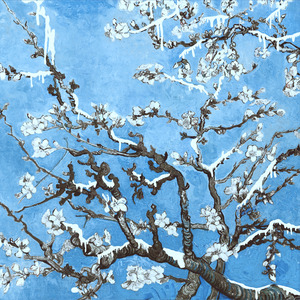 纲手穿比亚尼内射
