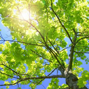 纲手穿比亚尼内射
